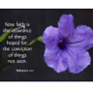 Meet your Posher, Laura mills